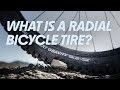 Schwalbe plašč Albert Radial 27,5